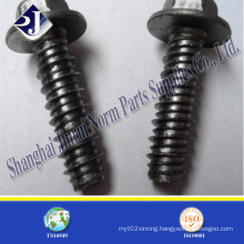 Non-Standard Full Thread Philips Screw